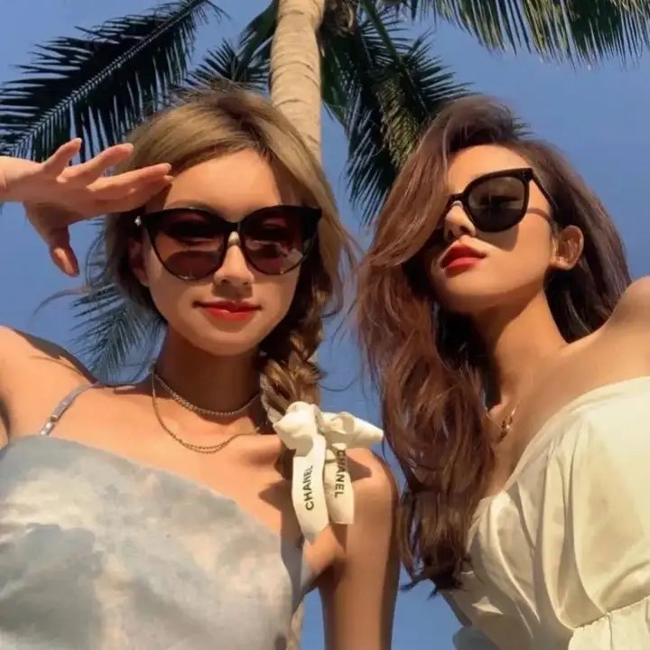 廉政追缉令粤语